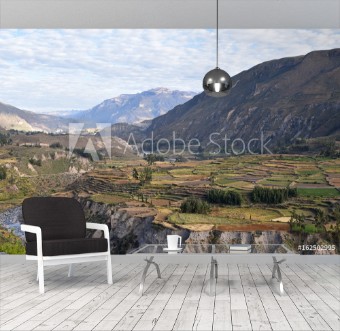 Picture of Terrasses du canyon de Colca au Prou